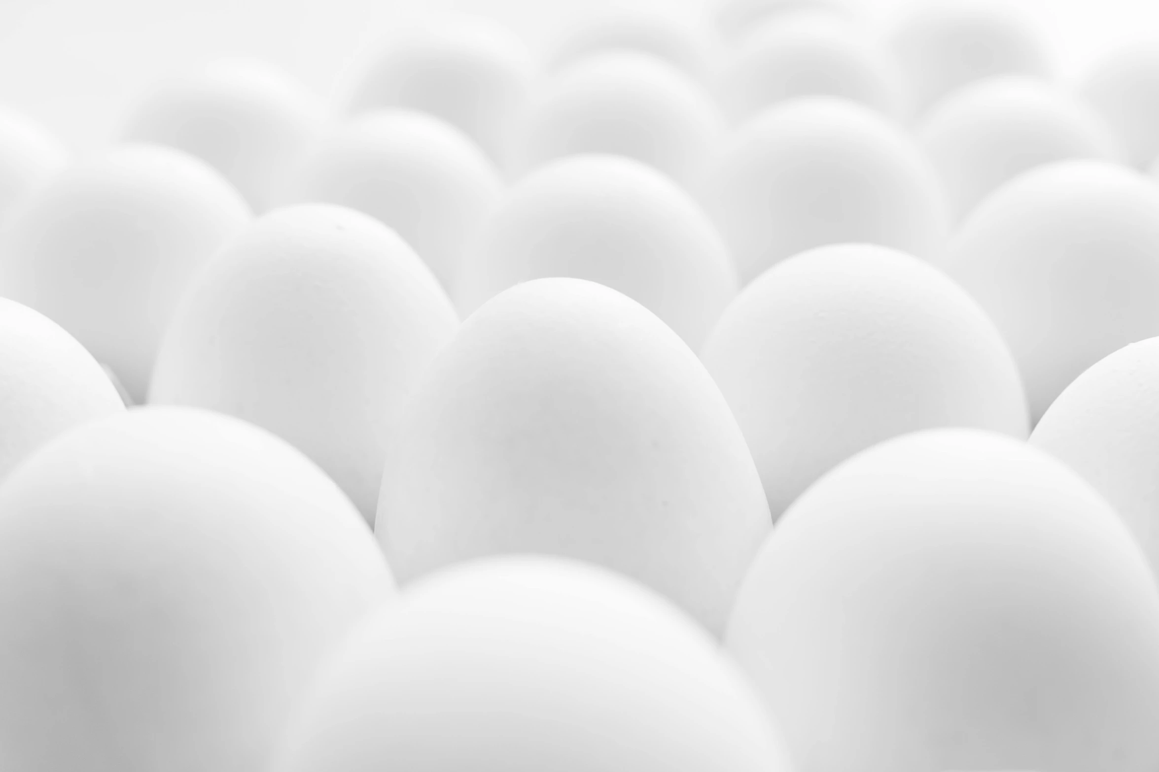 a group of white eggs sitting next to each other, by Jan Kupecký, pexels contest winner, white biomechanicaldetails, white-space-surrounding, desktop wallpaper, portrait of a big