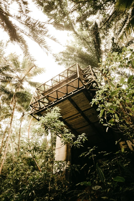 a tree house in the middle of a forest, by Jessie Algie, trending on unsplash, renaissance, tropical vegetation, puerto rico, upside - down building, cosy