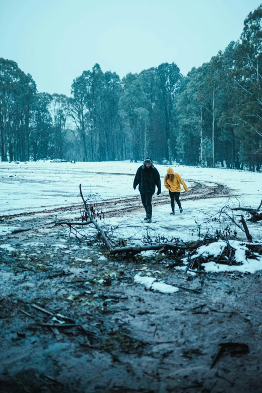 a couple of people walking across a snow covered field, bushfire, snowing in the forest, stuck in mud, production photo