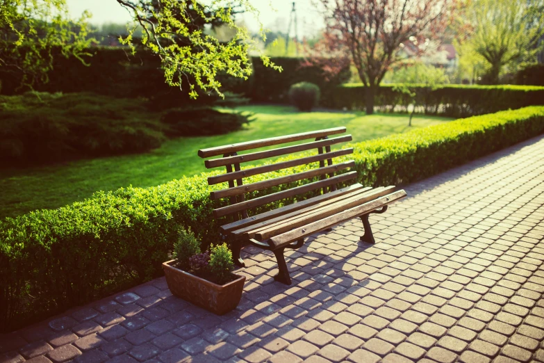 a wooden bench sitting on top of a brick walkway, inspired by Otakar Sedloň, unsplash, nice spring afternoon lighting, hedge, sittin