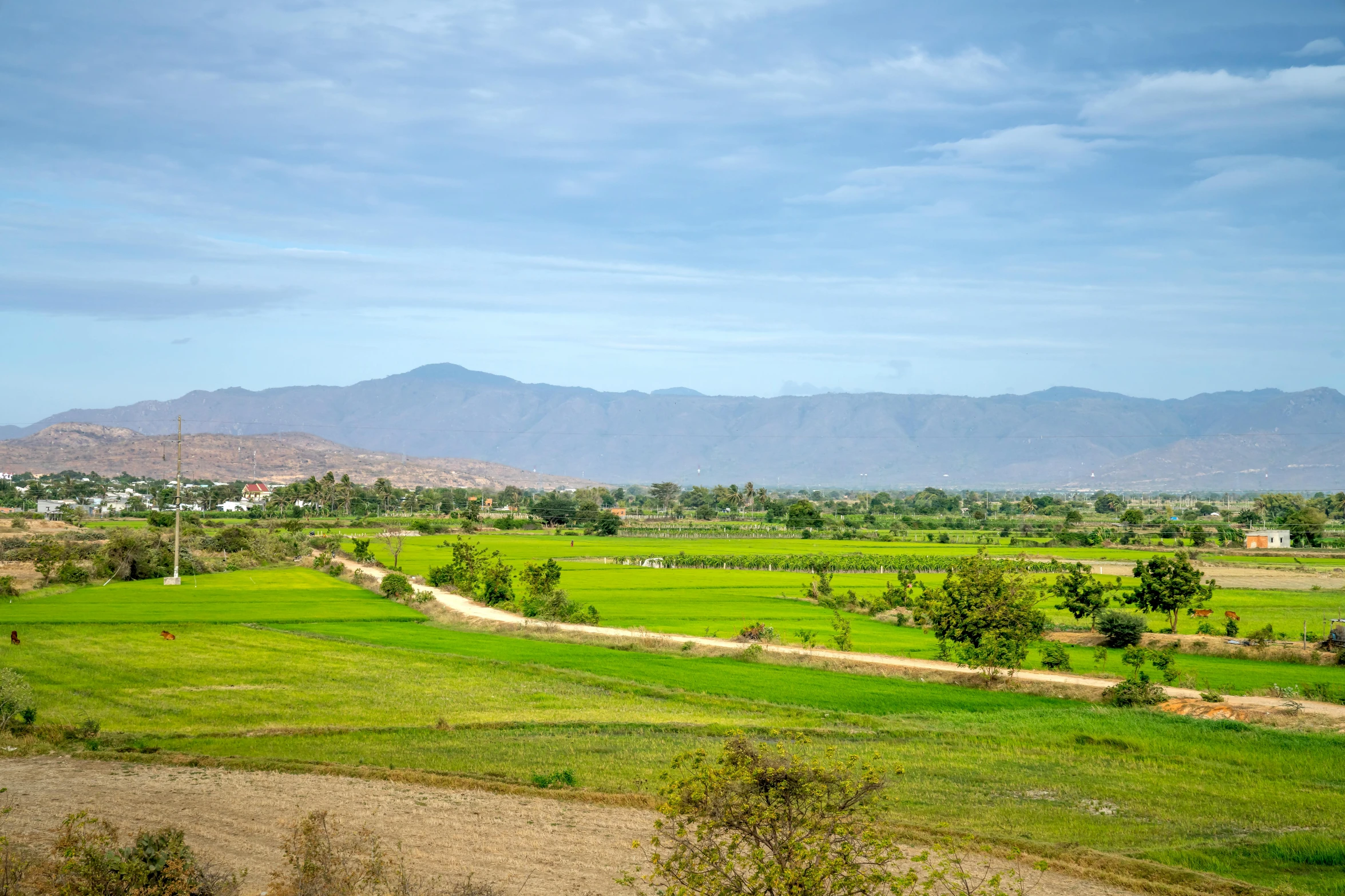 a green field with mountains in the background, unsplash, sumatraism, in chuquicamata, background image, imperial city in the distance, farmer