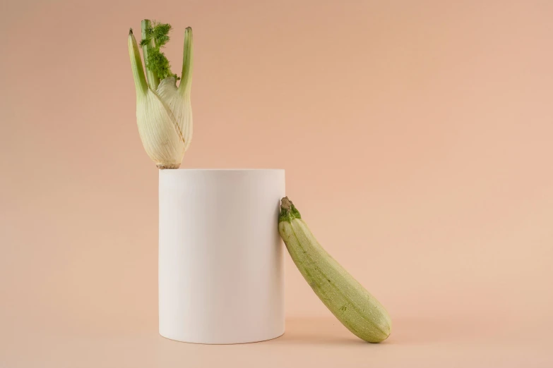 a close up of a plant in a cup, a surrealist sculpture, inspired by Giorgio Morandi, unsplash, cucumber, expressive pose, large tall, white finish