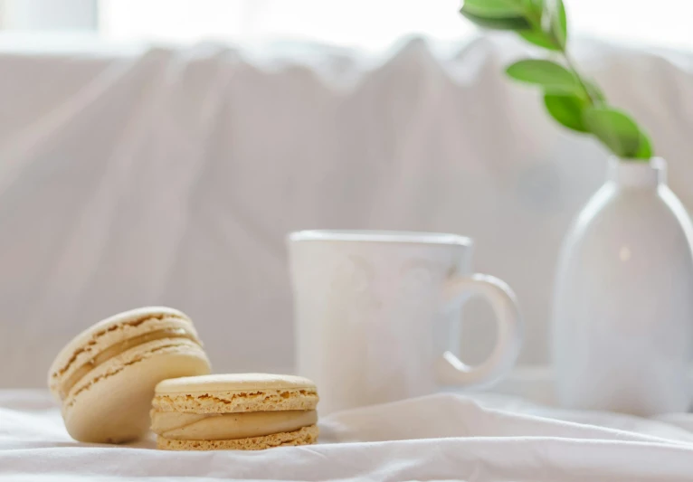 a couple of macarons sitting on top of a bed next to a cup of coffee, pexels contest winner, white clay, manuka, thumbnail, background image