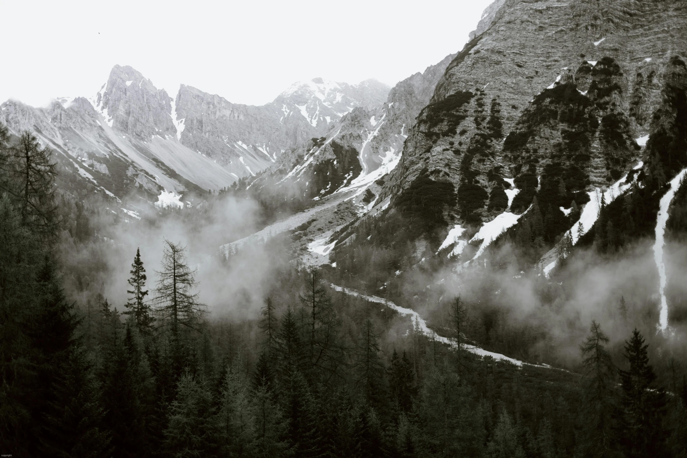 a black and white photo of a snow covered mountain, a black and white photo, pexels contest winner, romanticism, mist in valley, spruce trees on the sides, mountain pass, photo of green river