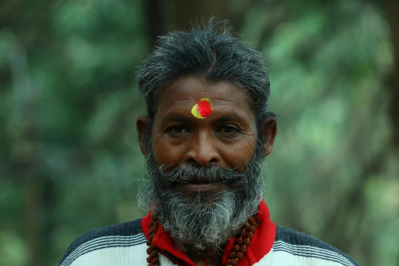 a man with a beard and a flower on his forehead, inspired by Kailash Chandra Meher, pexels contest winner, portrait of forest gog, avatar image, red faced, ethnic group