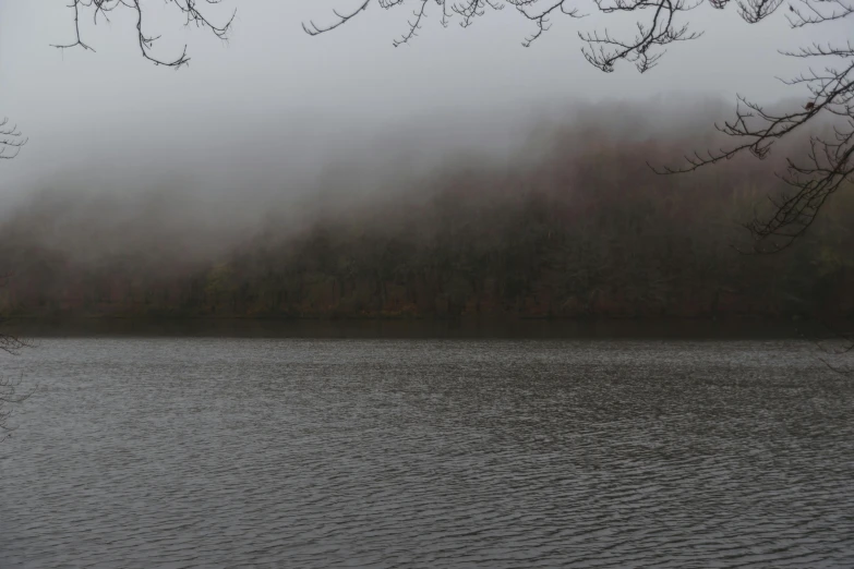 a body of water surrounded by trees on a foggy day, brown, foggy day outside, gray skies, body of water