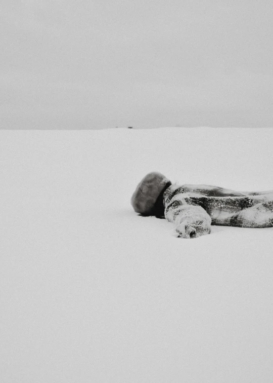 a black and white photo of a person laying in the snow, a black and white photo, by Lucia Peka, conceptual art, inuit, dead child, ffffound, inuk