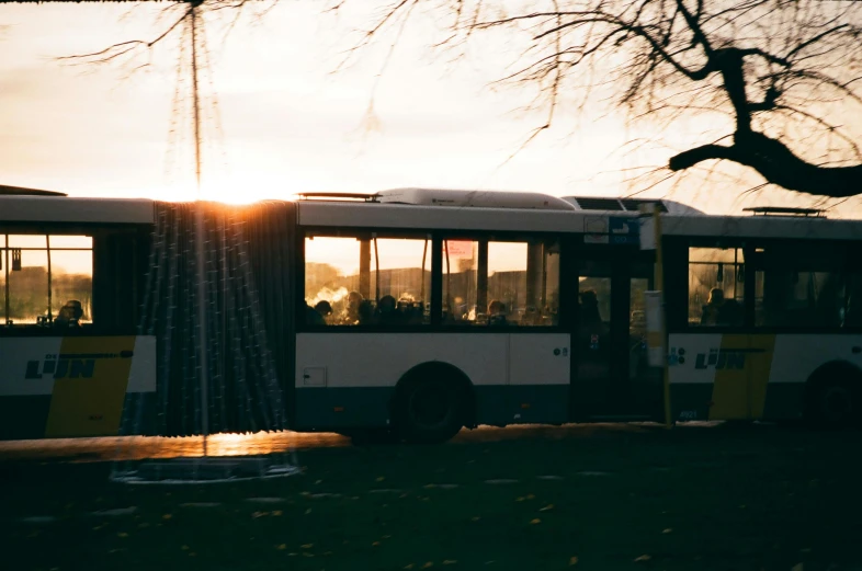 a bus is parked on the side of the road, by Niko Henrichon, pexels contest winner, happening, late afternoon sun, alvar aalto, break of dawn on neptun, park in background