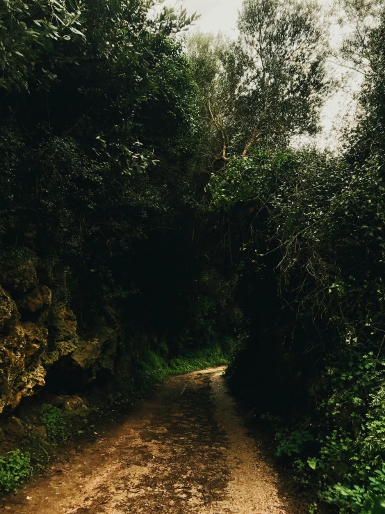 a dirt road in the middle of a forest, by Alexis Grimou, cave entrance, low quality photo, 2 5 6 x 2 5 6 pixels, malika favre