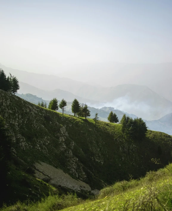 a train traveling through a lush green hillside, by Abdullah Gërguri, pexels contest winner, les nabis, smoke from the fire, panorama, black fir, looking towards camera