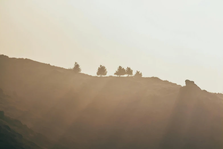 a couple of horses standing on top of a lush green hillside, a picture, unsplash contest winner, romanticism, the sun's rays through the dust, minimalist photo, some trees, alessio albi