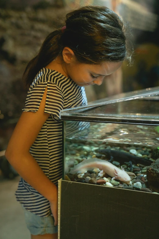 a little girl looking at a fish in a tank, ethereal eel, an olive skinned, shoreline, albino dwarf