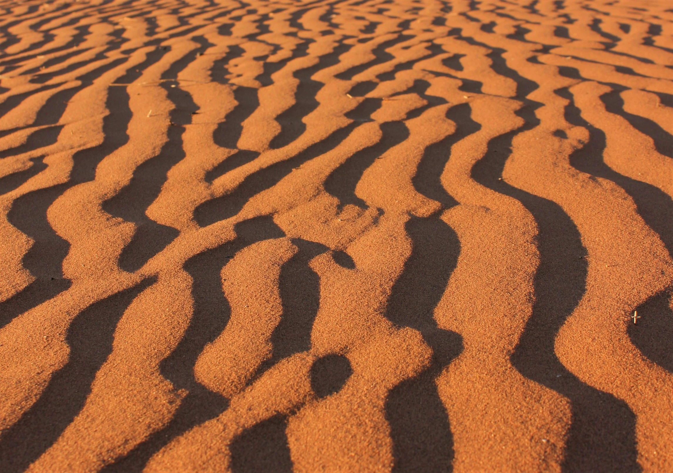 a close up of sand with a sky in the background, pexels contest winner, op art, black and terracotta, magnetic waves, australian, casting long shadows