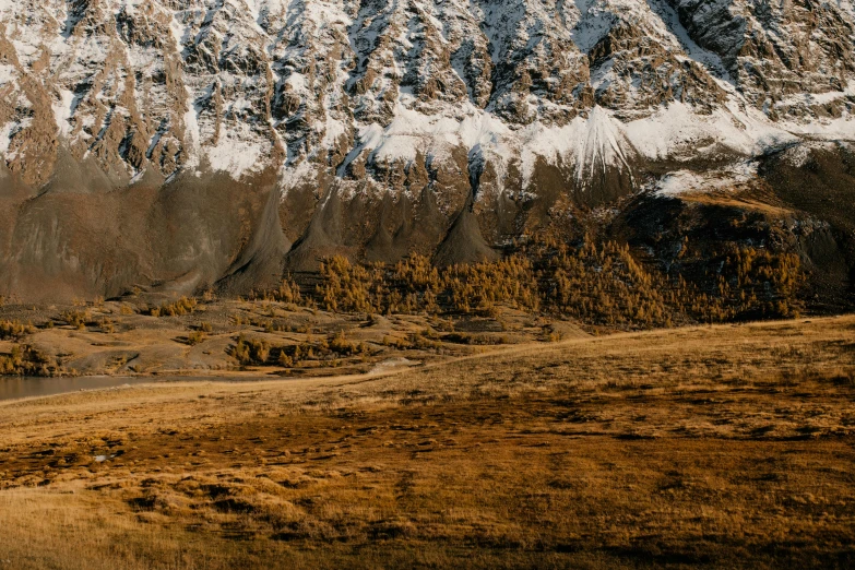 a horse standing in a field with a mountain in the background, a detailed matte painting, unsplash contest winner, les nabis, seen from above, earthy colours, panorama, swiss alps