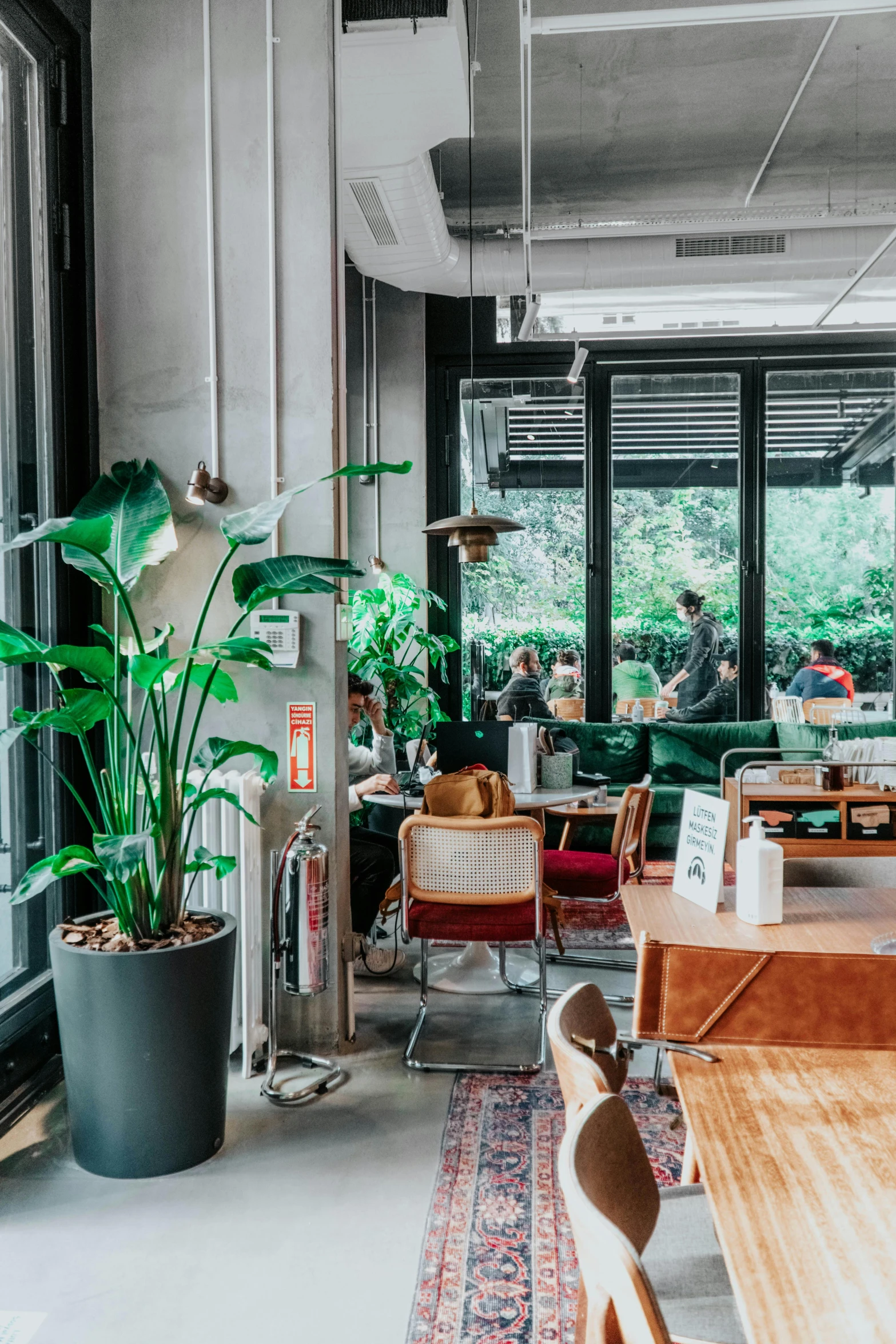 a room filled with lots of tables and chairs, trending on unsplash, lush verdant plants, starbucks aprons and visors, bo chen, big windows