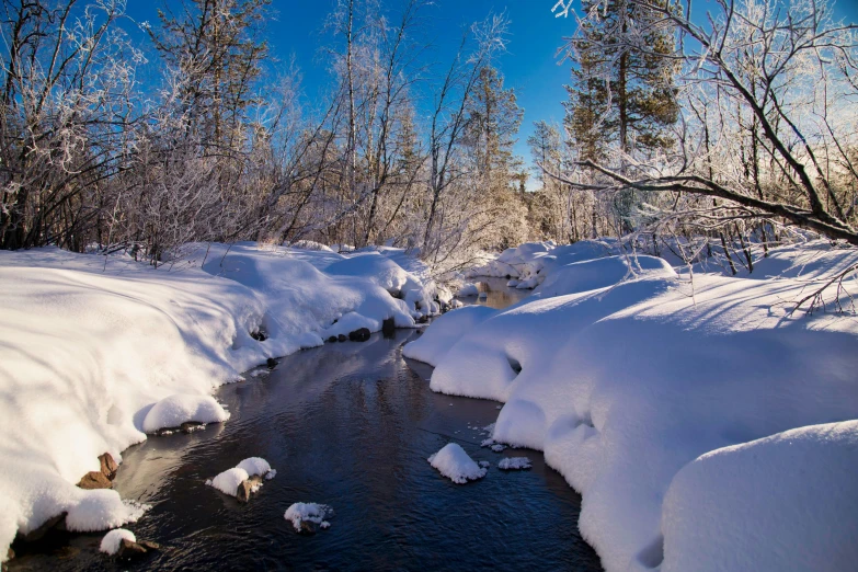 a stream running through a snow covered forest, by Eero Järnefelt, pexels contest winner, hurufiyya, sunny day time, thumbnail, landscape photo, tourist photo