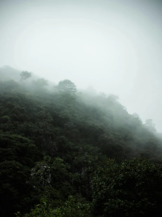a mountain covered in trees on a foggy day, muted green, ominous photo, wet climate, trending photo