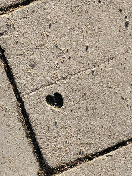 a red fire hydrant sitting on top of a sidewalk, an album cover, by Anna Haifisch, concrete art, (heart), warts, black stencil, close - up photograph