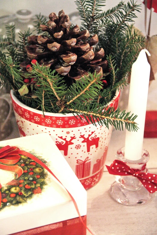 a potted plant sitting on top of a table next to a candle, inspired by Ernest William Christmas, pinecone, red and white, medium close-up, fully decorated