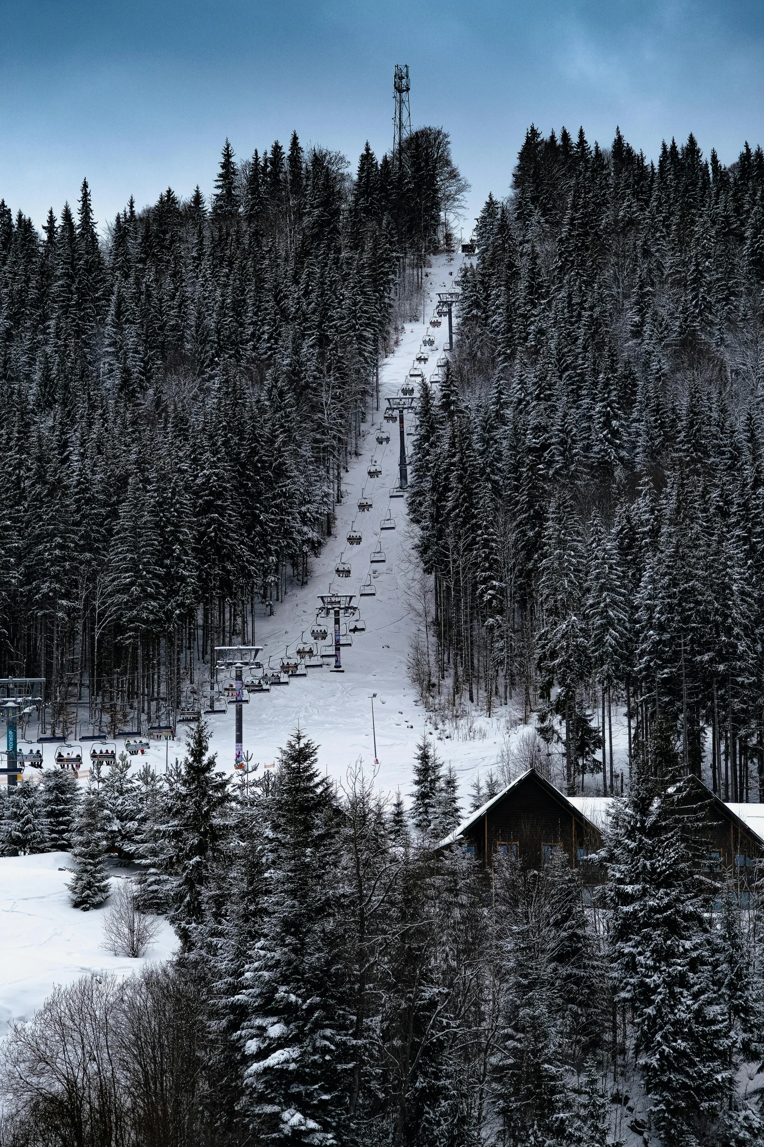 a ski slope covered in snow next to a forest, by Adam Szentpétery, square, screensaver, stacked image, festivals