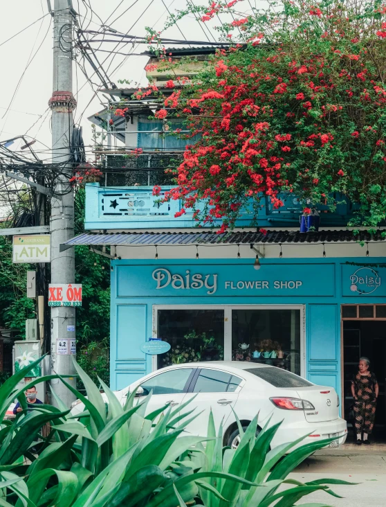 a white car parked in front of a blue building, flower shop scene, shot with sony alpha 1 camera, sassy, laos