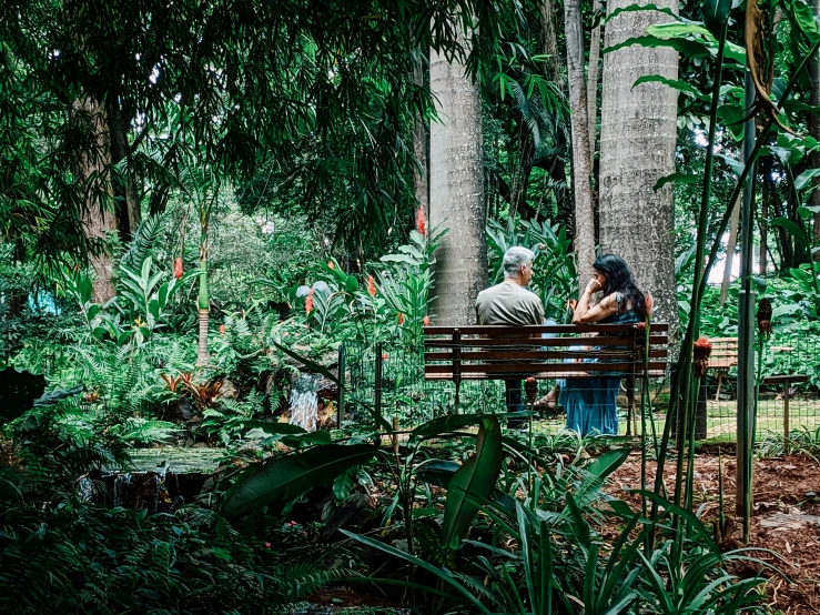 a couple of people that are sitting on a bench, by Elizabeth Durack, pexels contest winner, visual art, lush oasis, panoramic shot, biodome, tamborine