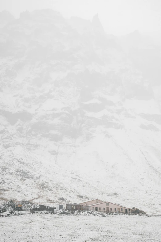 a couple of horses standing on top of a snow covered field, unsplash contest winner, lyrical abstraction, silver，ivory, ((mist)), covered in white flour, 15081959 21121991 01012000 4k