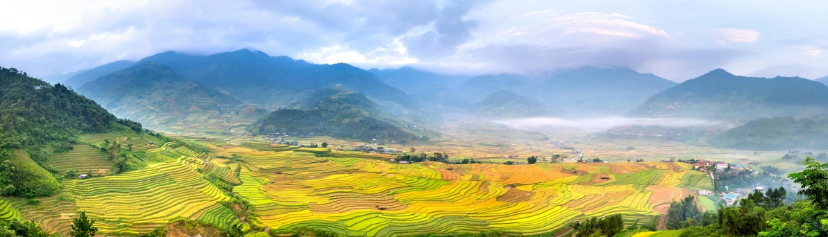 a view of a valley with mountains in the background, trending on unsplash, vietnam, immaculate rows of crops, patches of yellow sky, slide show