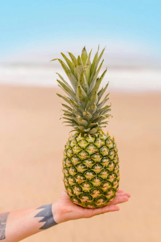 a person holding a pineapple on a beach, slide show, uncrop, high resolution photo, highly upvoted