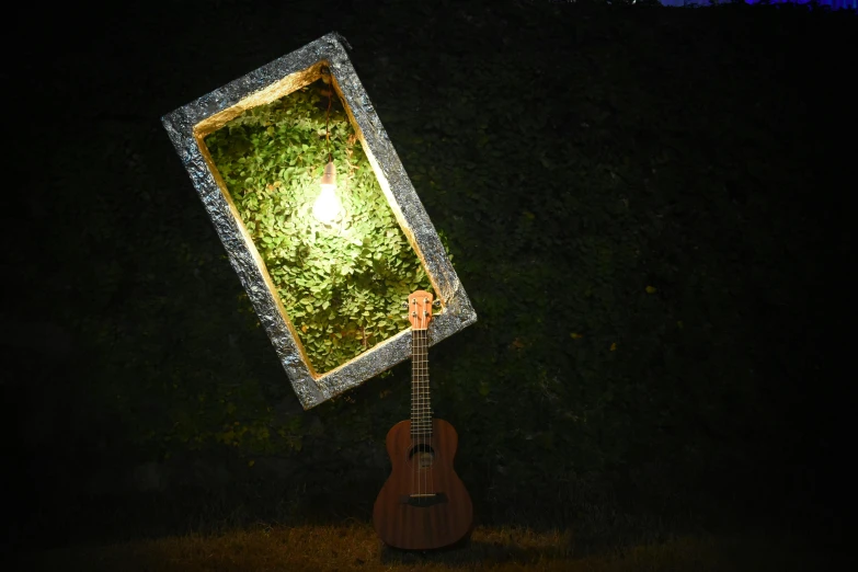 a guitar sitting on top of a grass covered field, gallery lighting, metal framed portal, mossy stone, ukulele