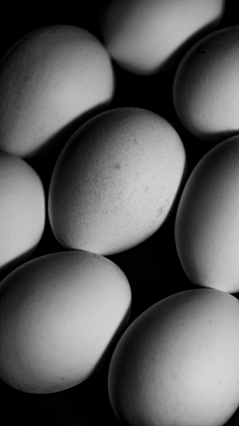 a bunch of eggs sitting on top of a table, a black and white photo, flickr, with a black background, half-tone-line-stacking, grisaille, closeup photograph