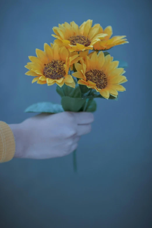 a person holding a bunch of yellow sunflowers, inspired by Elsa Bleda, unsplash, photorealism, paper, hand model, rendered in povray, photography )