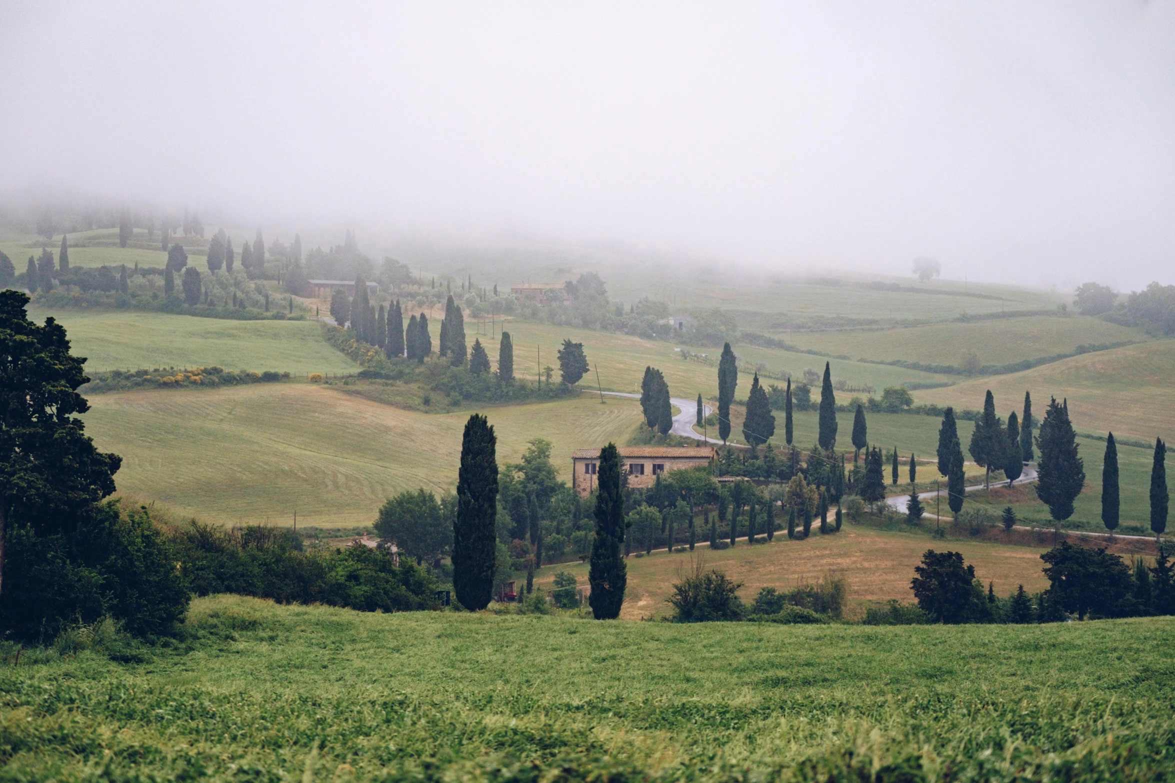 a couple of sheep standing on top of a lush green field, by Carey Morris, pexels contest winner, renaissance, cypresses, mist below buildings, filippo brunelleschi, 2 5 6 x 2 5 6 pixels