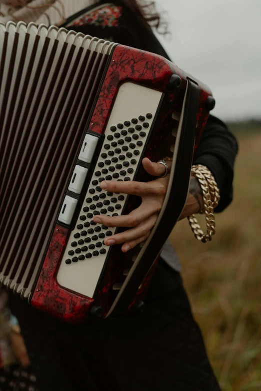 a woman playing an accordion in a field, an album cover, inspired by Judy Takács, trending on pexels, baroque, detail shot, icon, square, lachlan bailey