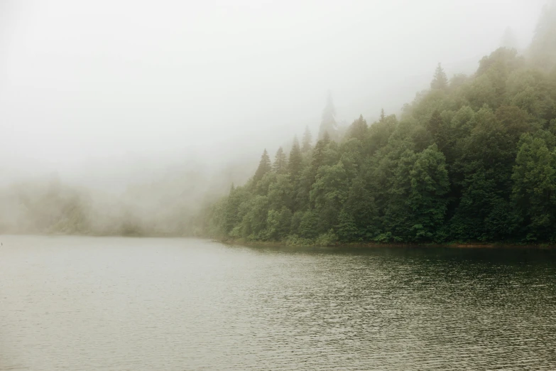 a body of water surrounded by trees on a foggy day, inspired by Elsa Bleda, pexels contest winner, overcast gray skies, lakeside, shades of green, mid-20s