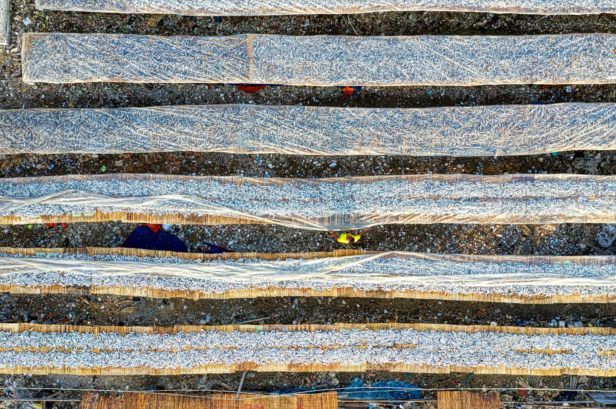 a couple of birds that are sitting on some steps, inspired by Andreas Gursky, unsplash, land art, hdr fabric textures, shot from a drone, el anatsui, stripes