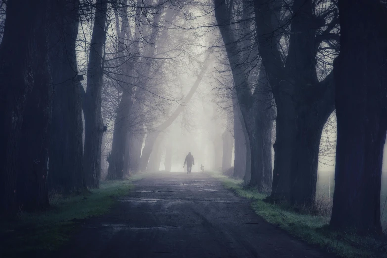 a person walking down a road in a foggy forest, by Eglon van der Neer, pexels contest winner, romanticism, fine art print, haunted, mysterious figure, purple mist