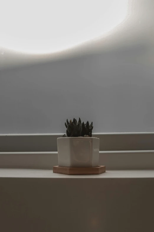 a small potted plant sitting on a window sill, inspired by jeonseok lee, unsplash, minimalism, low quality photo, on the altar, gradient brown to silver, floating crown