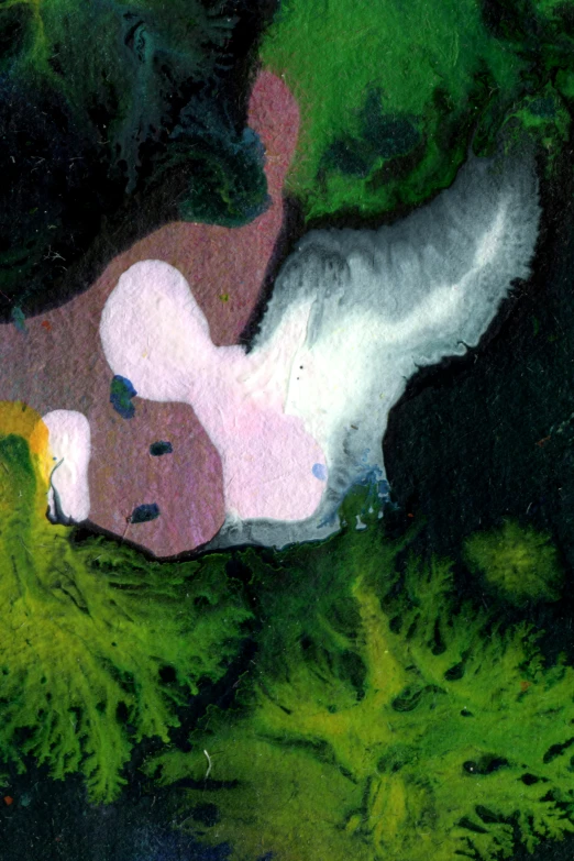 a painting of a teddy bear laying in the grass, a detailed painting, inspired by Mikalojus Konstantinas Ciurlionis, flickr, lyrical abstraction, pink white and green, as seen from space, head of broccoli, detail