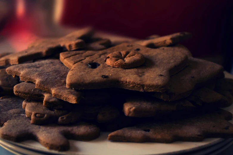 a pile of cookies sitting on top of a white plate, by Julia Pishtar, unsplash, animal - shaped bread, dimly lit, chocolate, hr ginger