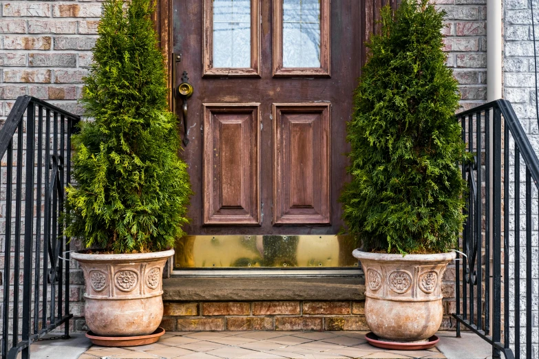 a couple of planters sitting in front of a door, by Carey Morris, shutterstock, cypresses, with ornamental edges, beautiful aged and rustic finish, brown