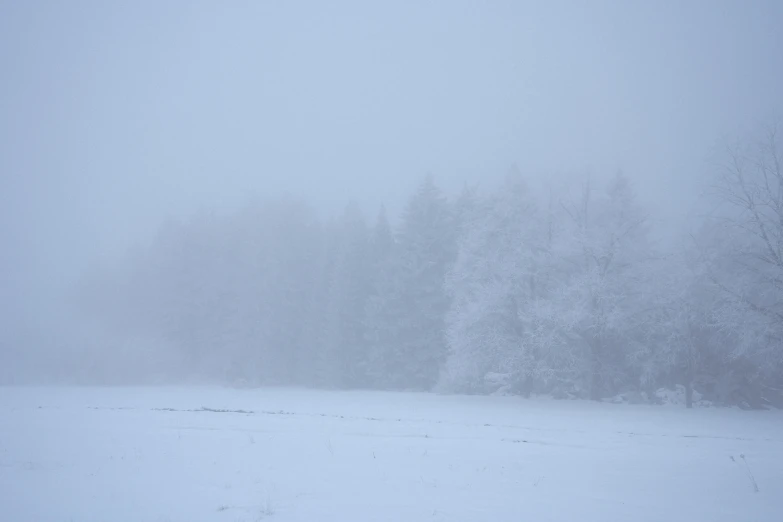 a snow covered field with trees in the background, rainy and foggy, background image, fog. by greg rutkowski, in karuizawa