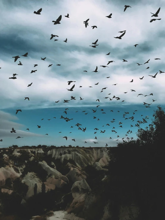 a flock of birds flying over a rocky area, by Matija Jama, pexels contest winner, surrealism, vampire bats, trending on vsco, badlands, today\'s featured photograph 4k
