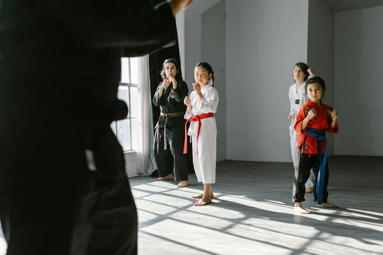 a group of people standing in a room, doing martial arts, shot on 85mm, no duplicate image, professional image