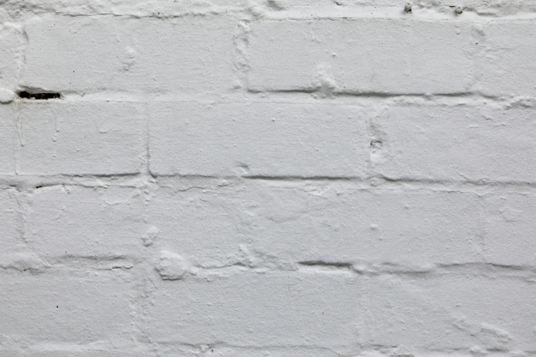 a fire hydrant in front of a white brick wall, inspired by Rachel Whiteread, detail texture, short light grey whiskers, 2011, laura watson