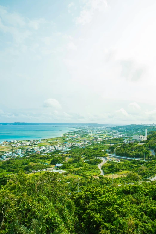 a view of the ocean from the top of a hill, by Aguri Uchida, okinawa japan, square, high-quality photo