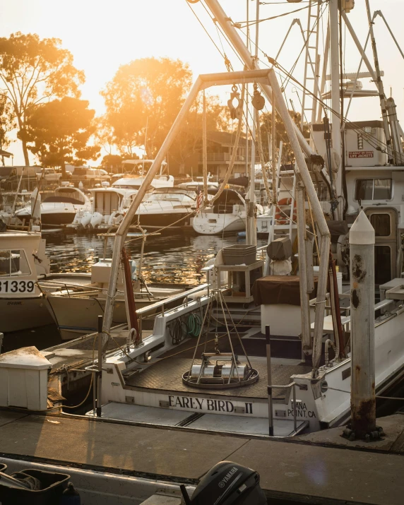 a harbor filled with lots of boats sitting next to each other, golden hour photograph, three quarter profile, thumbnail, dylan kowalsk