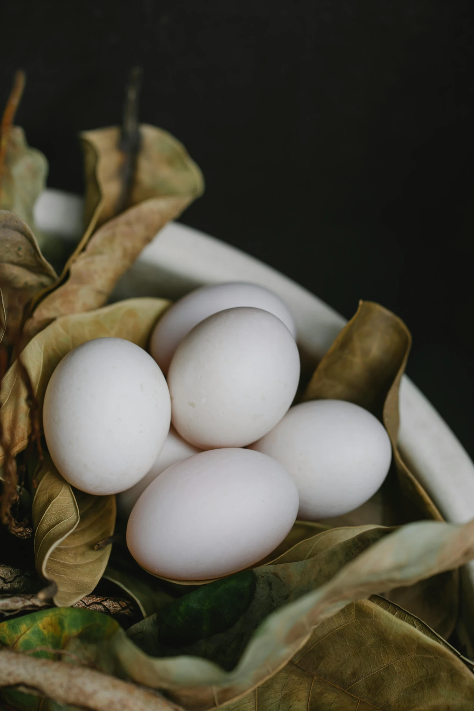 a close up of a bowl of eggs on a table, renaissance, magnolia leaves and stems, albino mystic, multiple stories, 王琛