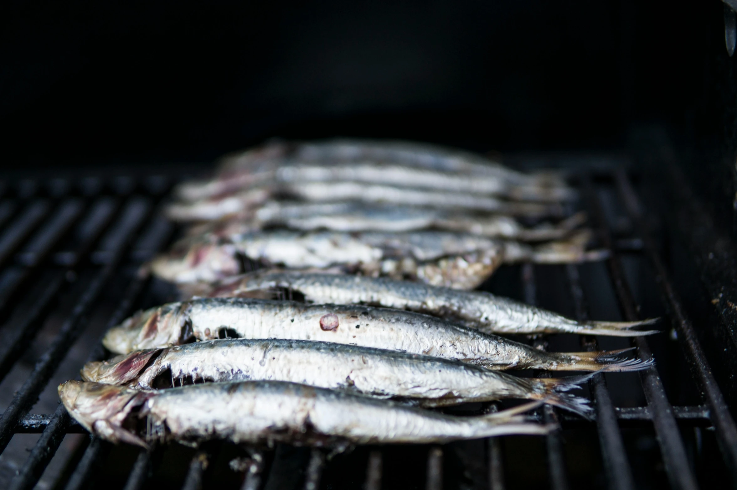 a bunch of fish sitting on top of a grill, unsplash, hurufiyya, mullet, aged 2 5, highly polished, nordic