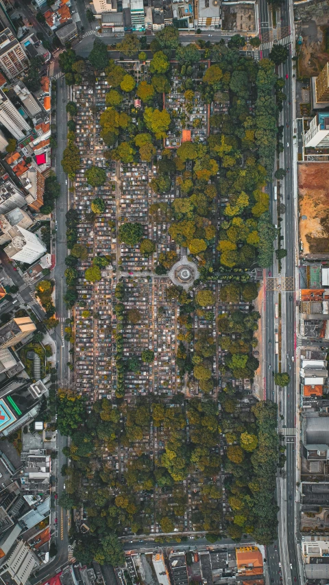 an aerial view of a city with lots of tall buildings, an album cover, by Joze Ciuha, unsplash contest winner, cemetery, brazil, cars, city park